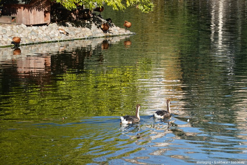 московский зоопарк