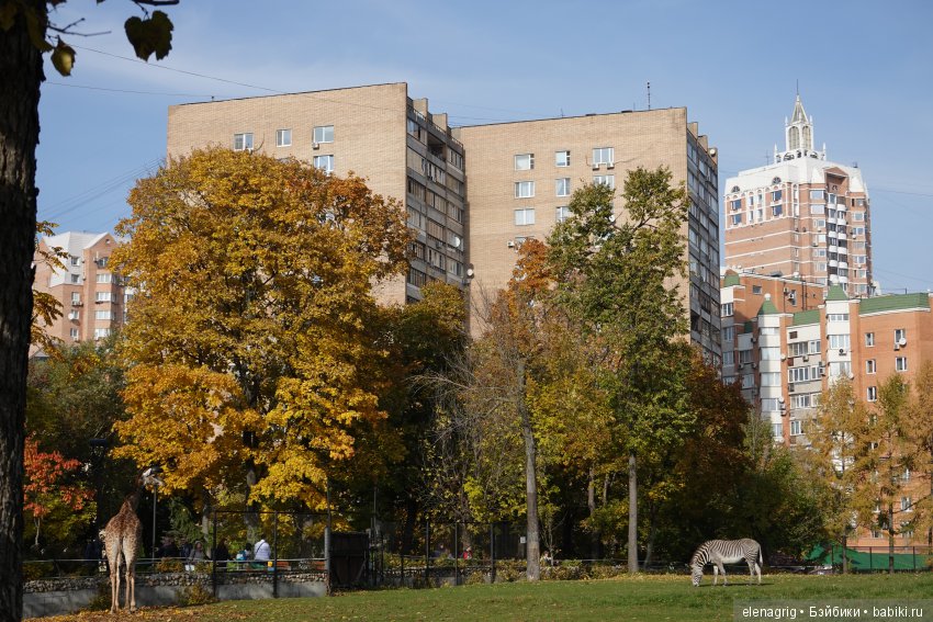 московский зоопарк