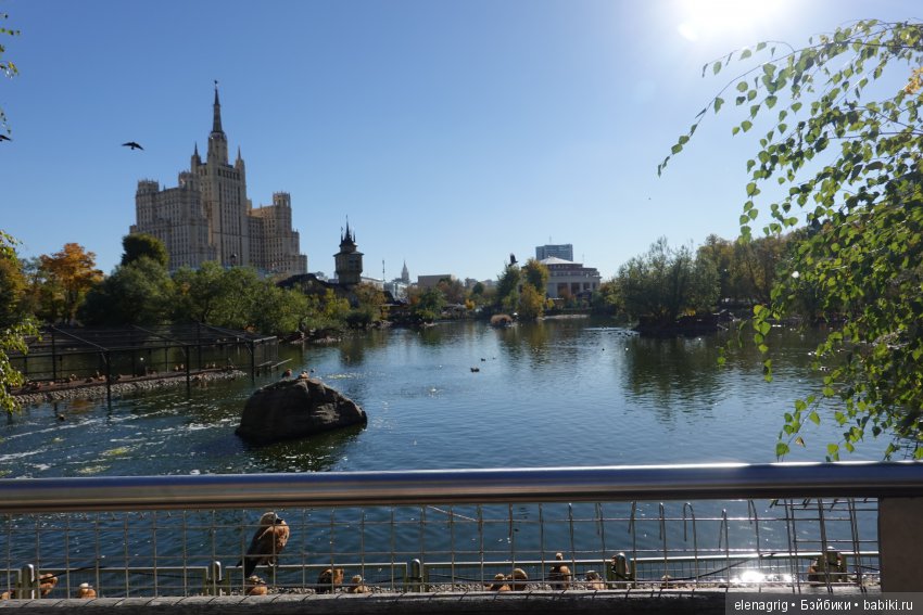 московский зоопарк