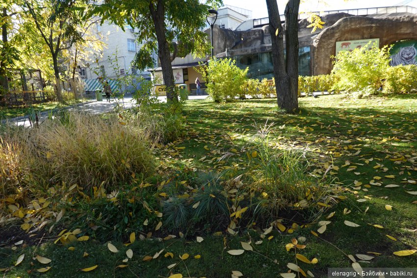 московский зоопарк