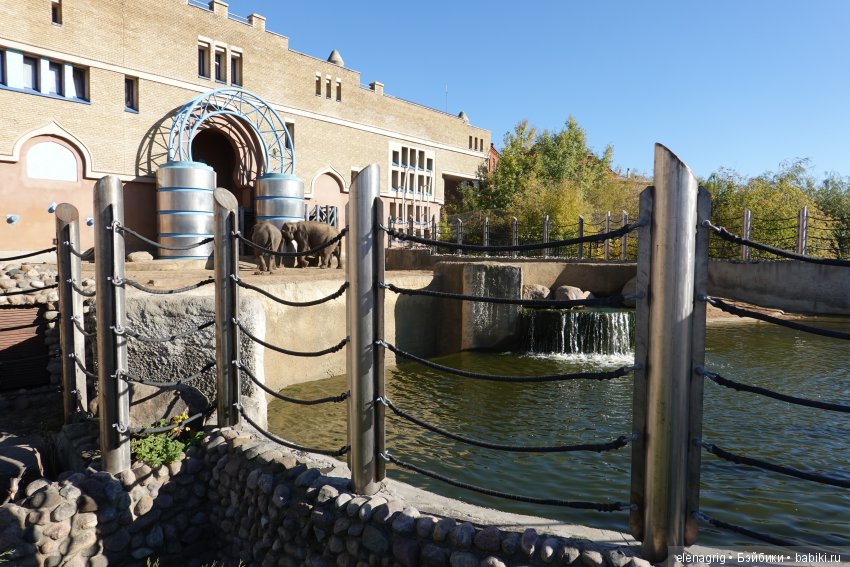 московский зоопарк