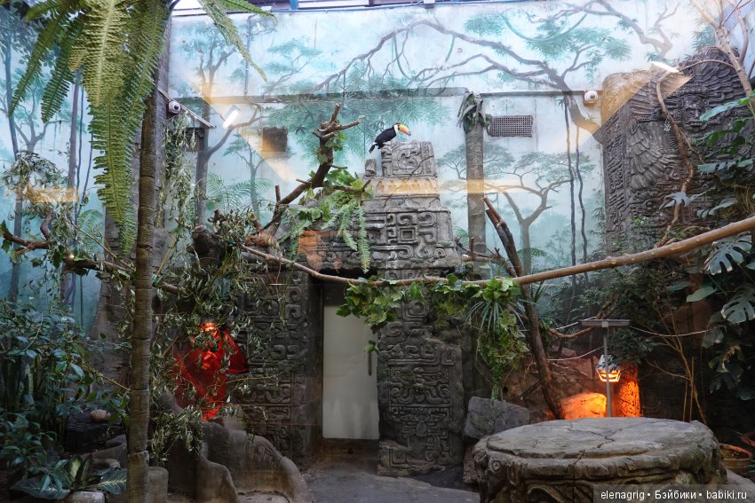 московский зоопарк