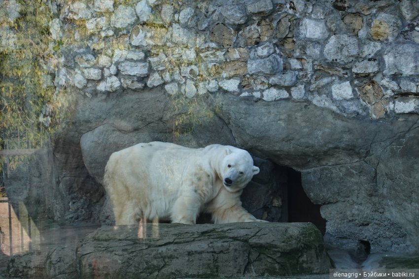 московский зоопарк