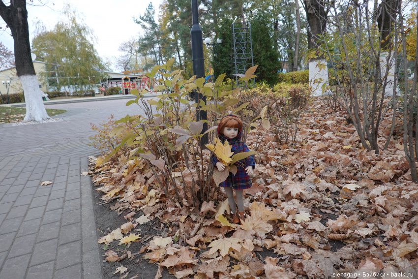 Maru and Friends