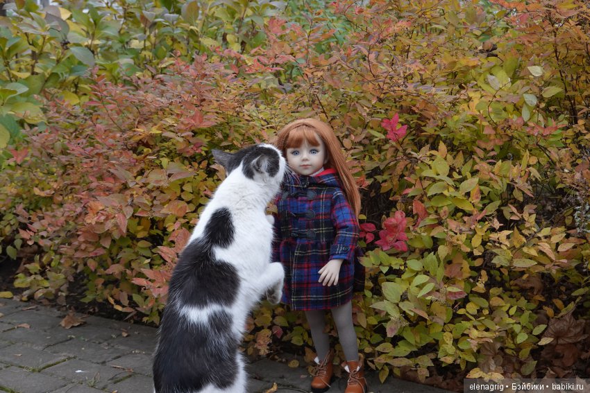 Maru and Friends