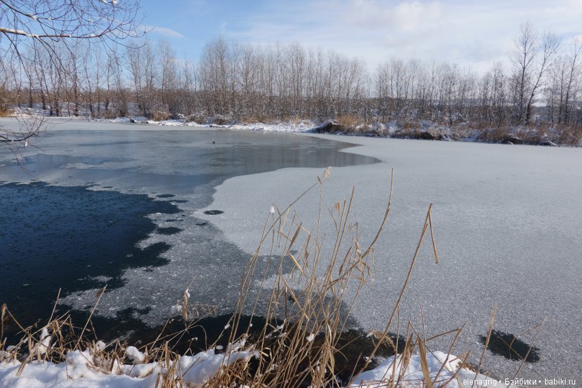 Коллекционные куклы Sonja Hartmann, Kidz'n'Cats