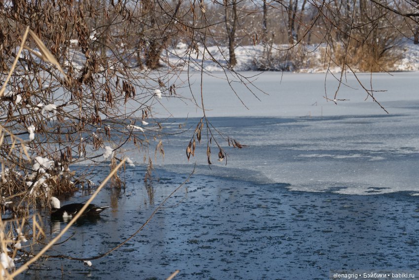 Коллекционные куклы Sonja Hartmann, Kidz'n'Cats