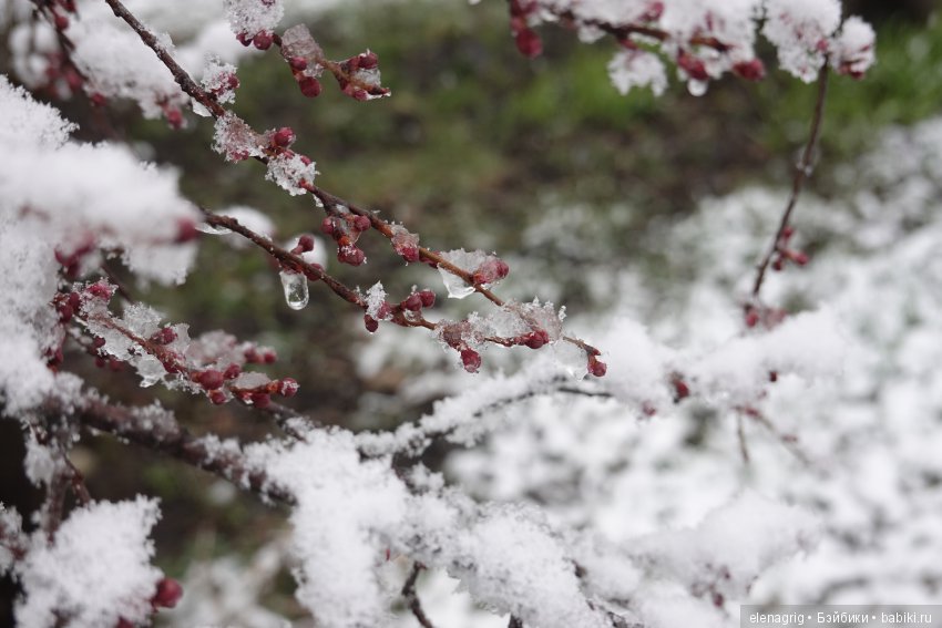китайская шарнирная кукла