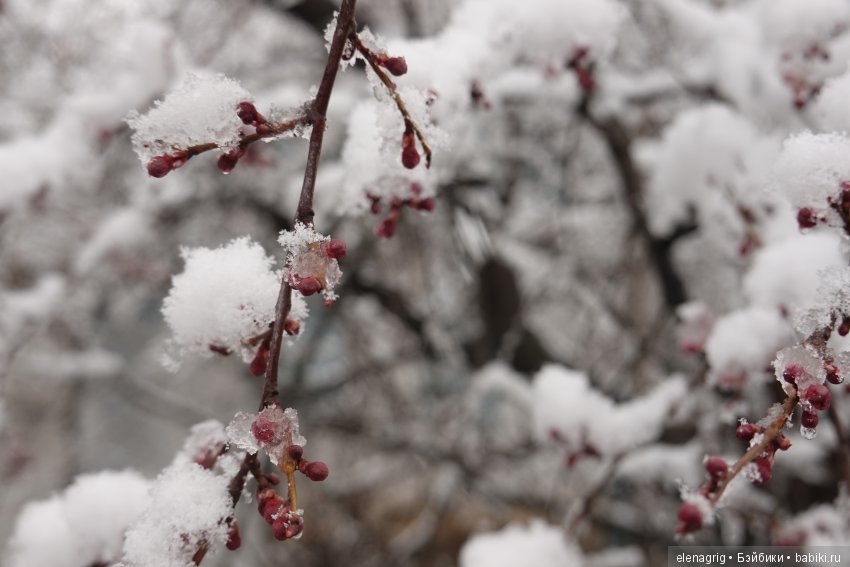 китайская шарнирная кукла