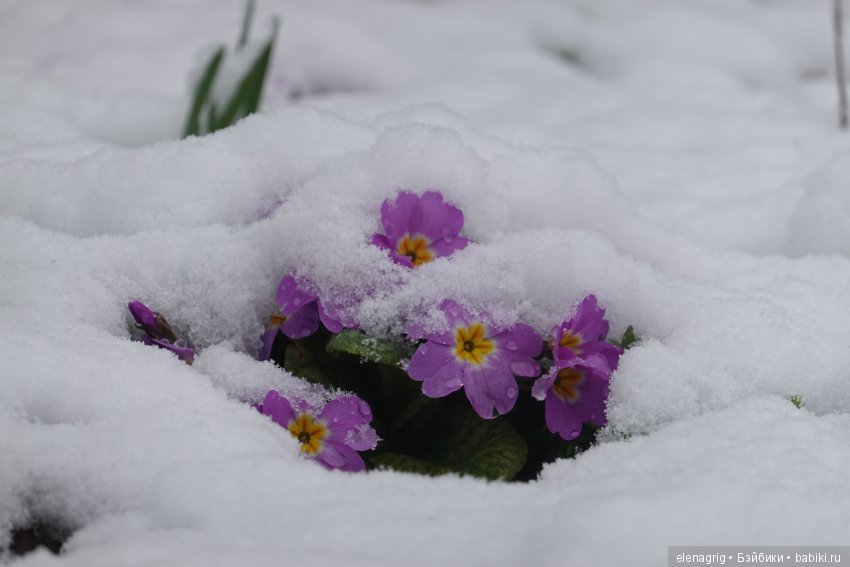 китайская шарнирная кукла