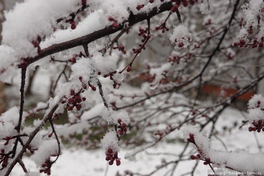 китайская шарнирная кукла