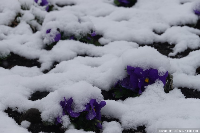 китайская шарнирная кукла