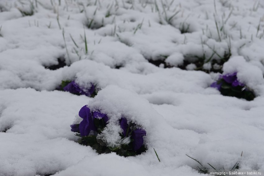 китайская шарнирная кукла