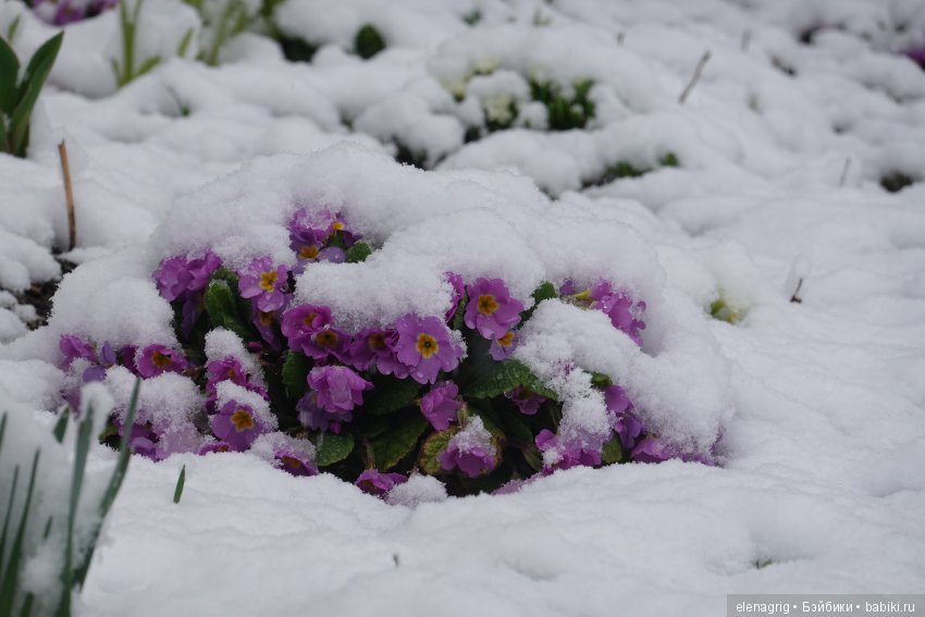 китайская шарнирная кукла