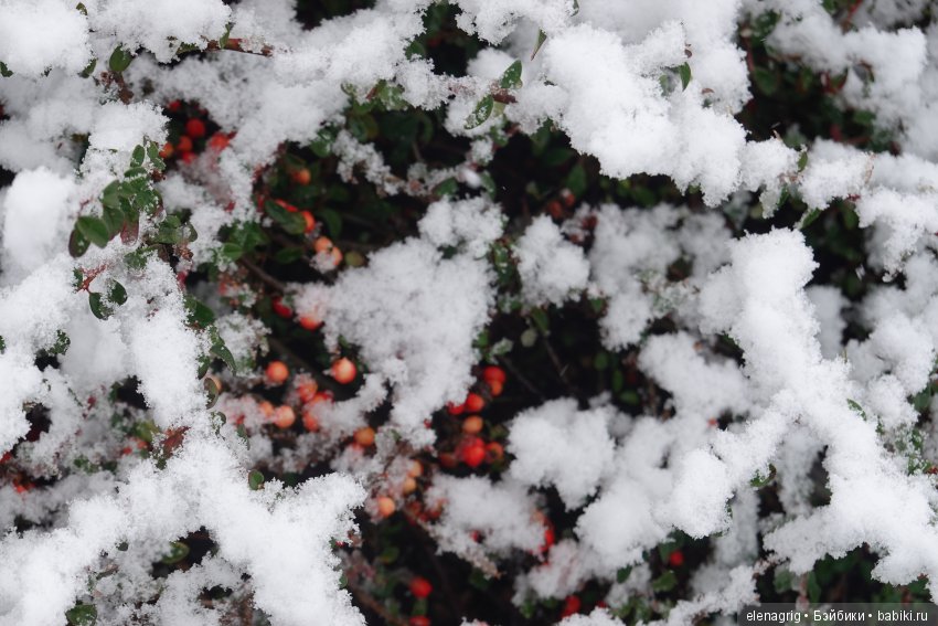 китайская шарнирная кукла