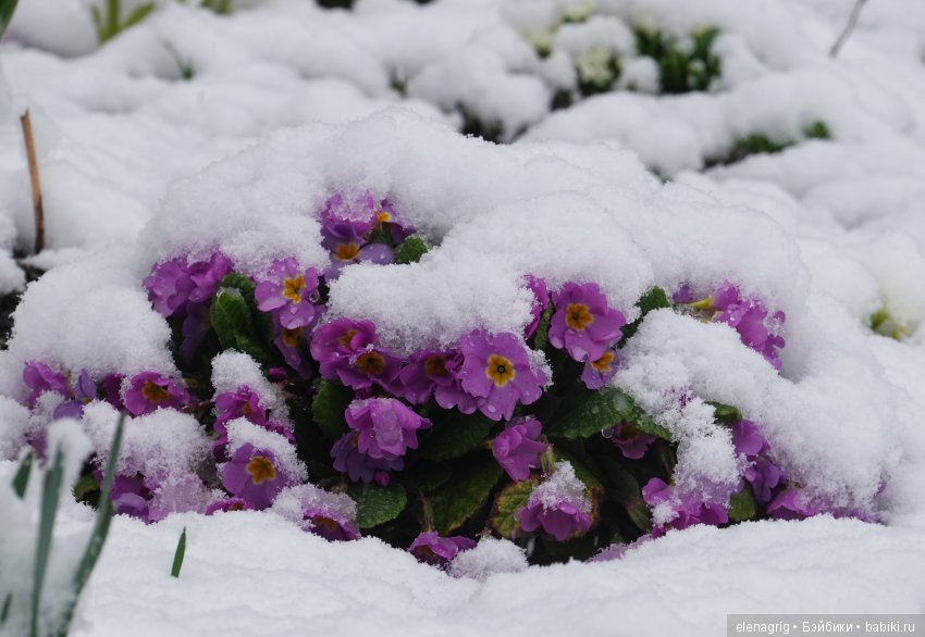 китайская шарнирная кукла