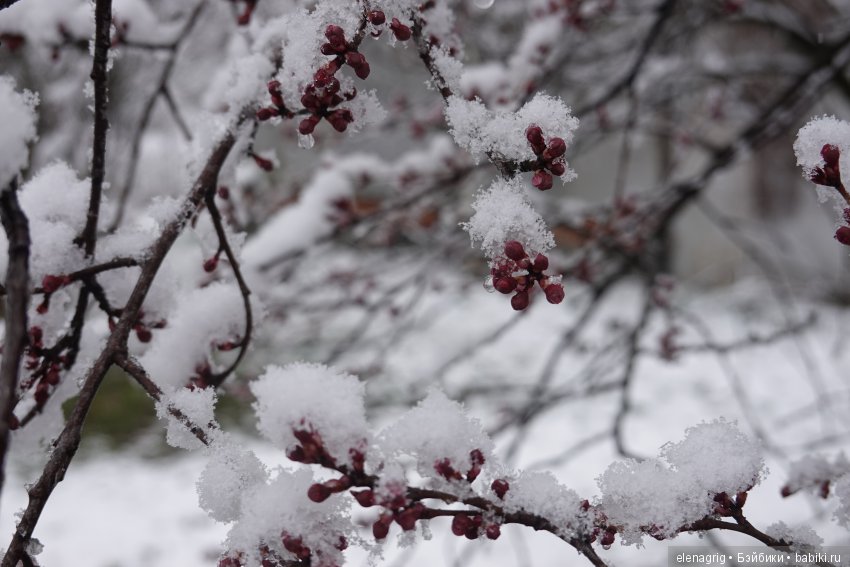китайская шарнирная кукла