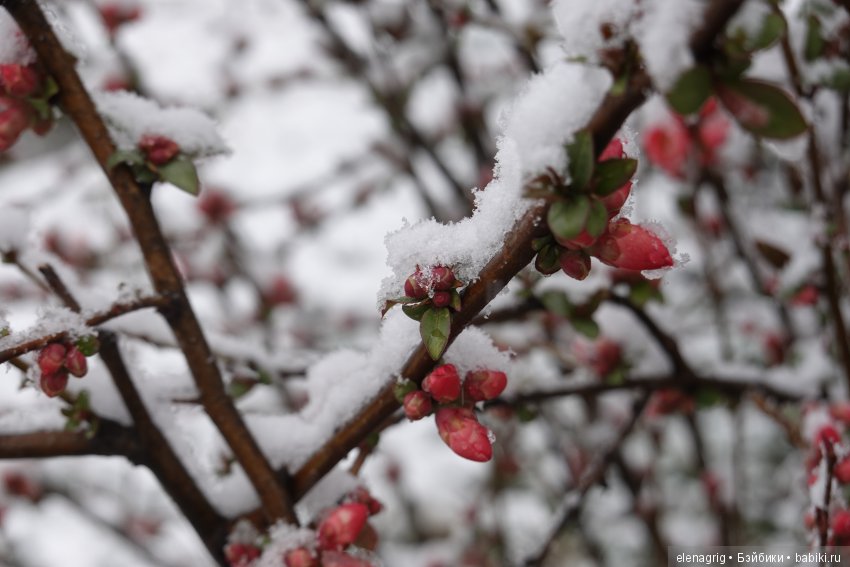 китайская шарнирная кукла