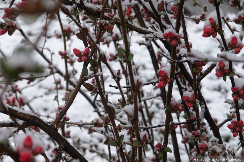 китайская шарнирная кукла