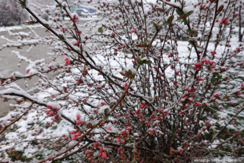 китайская шарнирная кукла