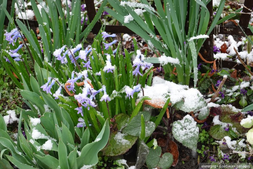 китайская шарнирная кукла