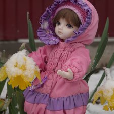 Сюрпризы южной весны