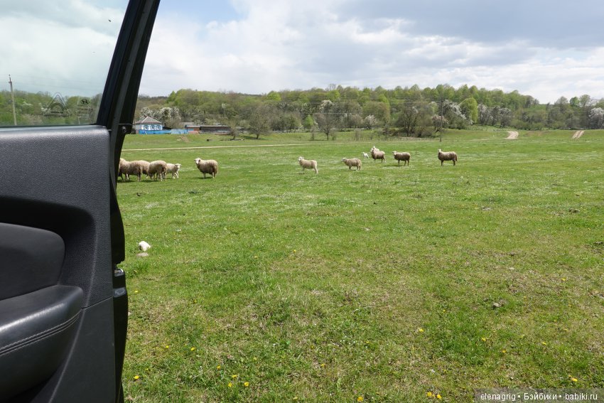 Коллекционные куклы Sonja Hartmann, Kidz'n'Cats