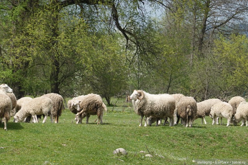 Коллекционные куклы Sonja Hartmann, Kidz'n'Cats