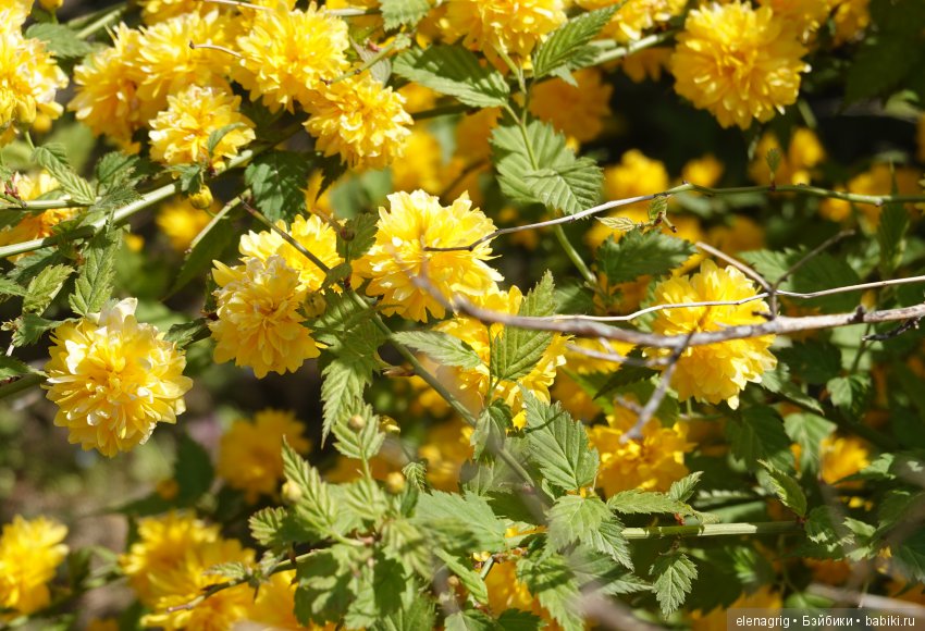 Просто весенняя прогулка — Куклы Dianna Effner (Эффнер) из винила: Little Darling (фото 4)