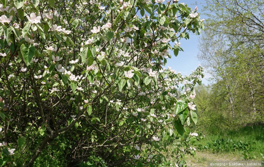 Просто весенняя прогулка — Куклы Dianna Effner (Эффнер) из винила: Little Darling (фото 6)