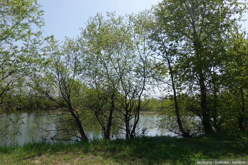 Просто весенняя прогулка — Куклы Dianna Effner (Эффнер) из винила: Little Darling (фото 10)