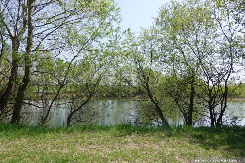 Просто весенняя прогулка — Куклы Dianna Effner (Эффнер) из винила: Little Darling (фото 9)