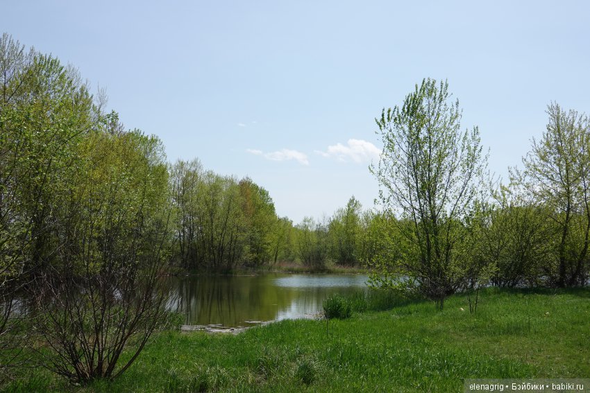 Просто весенняя прогулка — Куклы Dianna Effner (Эффнер) из винила: Little Darling