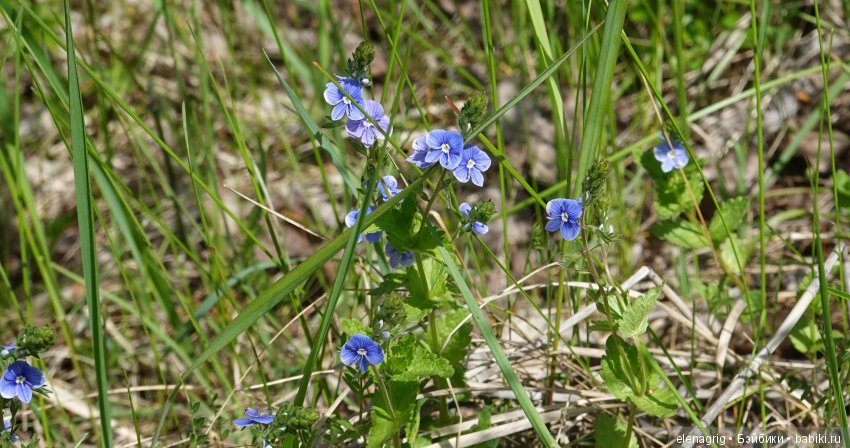 Просто весенняя прогулка — Куклы Dianna Effner (Эффнер) из винила: Little Darling (фото 7)