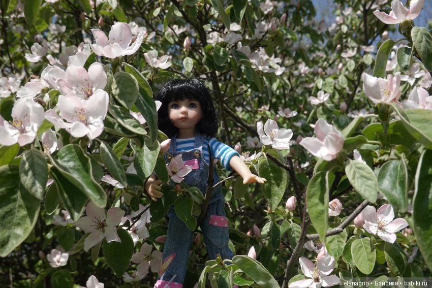 Коллекционные куклы Дианы Эффнер, Dianna Effner