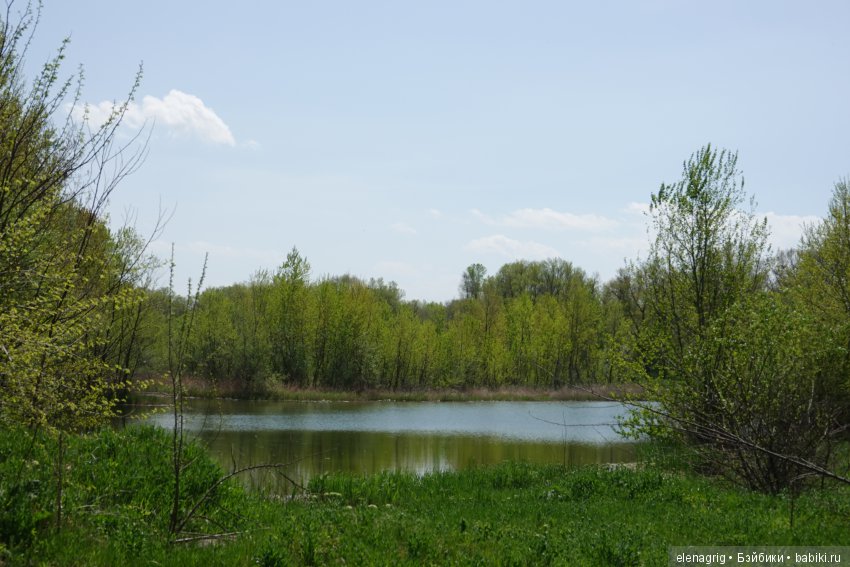 Просто весенняя прогулка — Куклы Dianna Effner (Эффнер) из винила: Little Darling