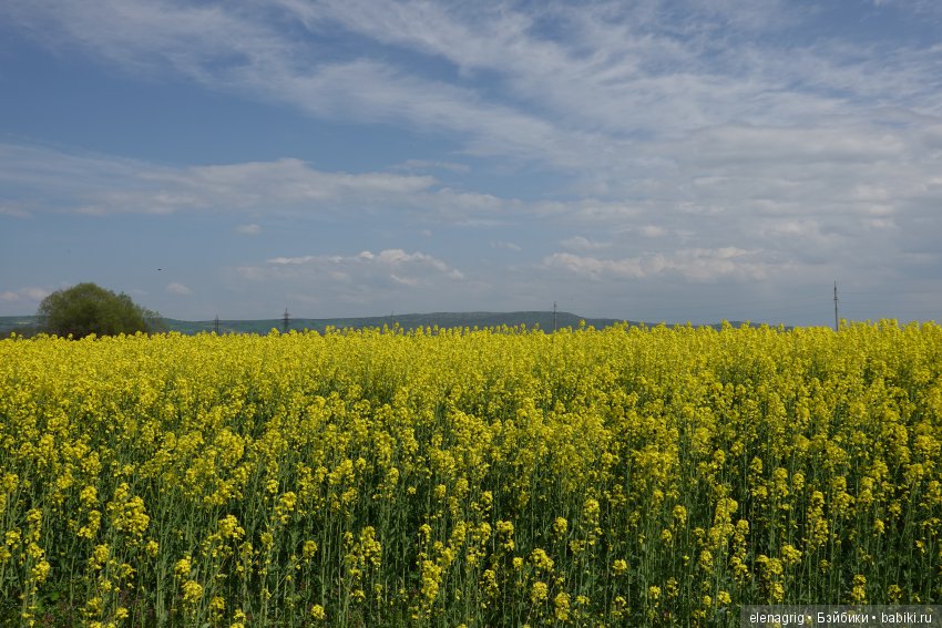 Коллекционные куклы Sonja Hartmann, Kidz'n'Cats