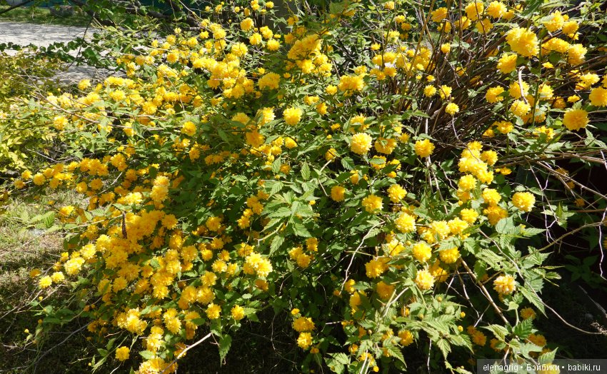 Просто весенняя прогулка — Куклы Dianna Effner (Эффнер) из винила: Little Darling (фото 5)