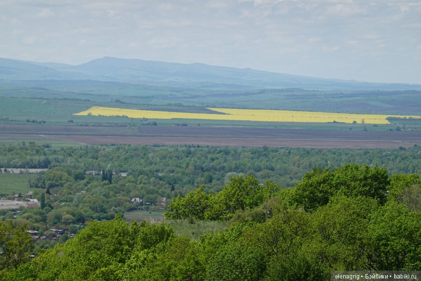 Цветочная долина — Куклы Dianna Effner (Эффнер) из винила: Little Darling (фото 7)