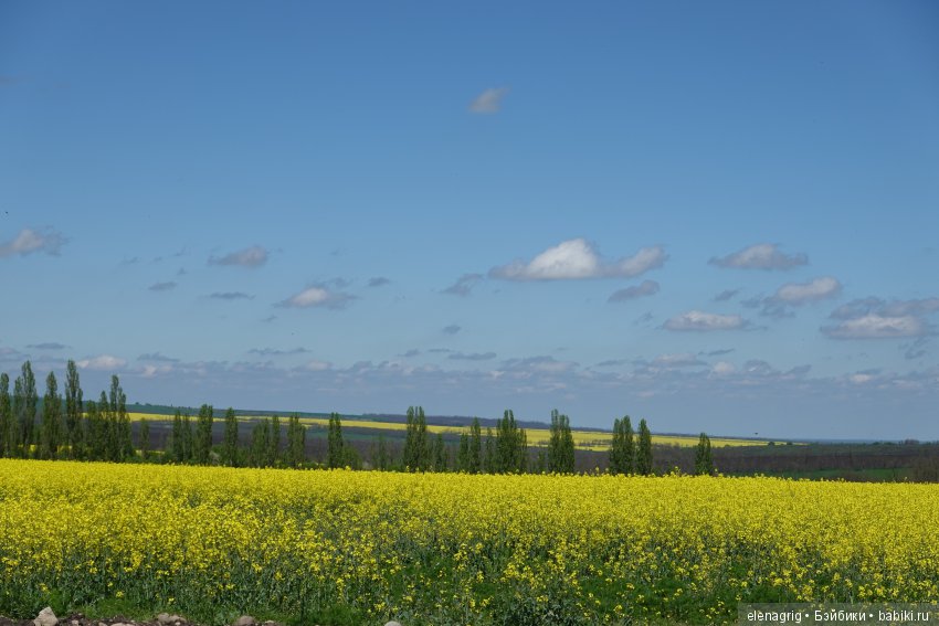 Цветочная долина — Куклы Dianna Effner (Эффнер) из винила: Little Darling (фото 3)