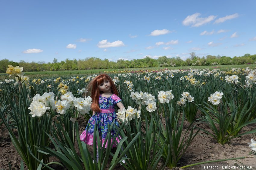 Коллекционные куклы Дианы Эффнер, Dianna Effner