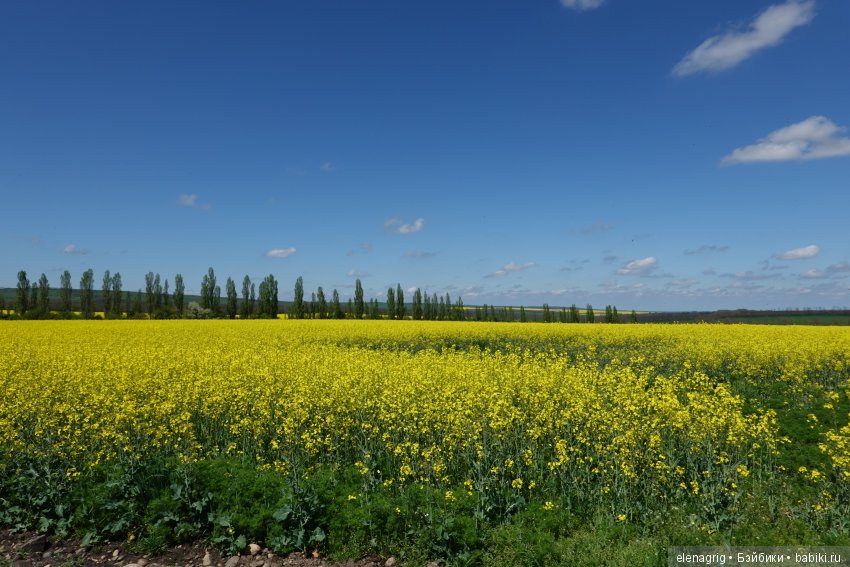 Цветочная долина — Куклы Dianna Effner (Эффнер) из винила: Little Darling (фото 5)