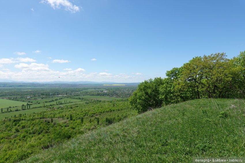 Цветочная долина — Куклы Dianna Effner (Эффнер) из винила: Little Darling (фото 10)