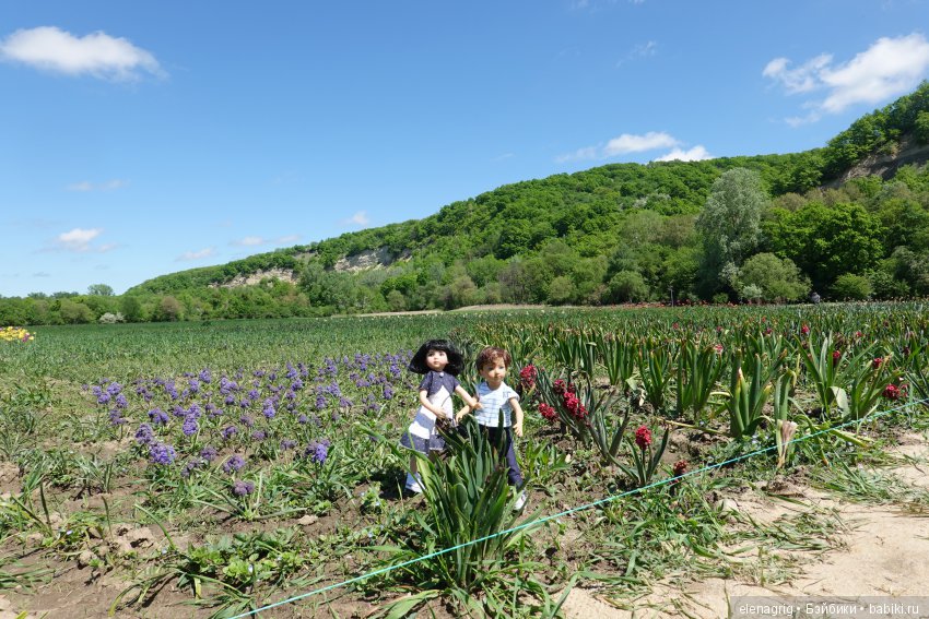 Коллекционные куклы Дианы Эффнер, Dianna Effner