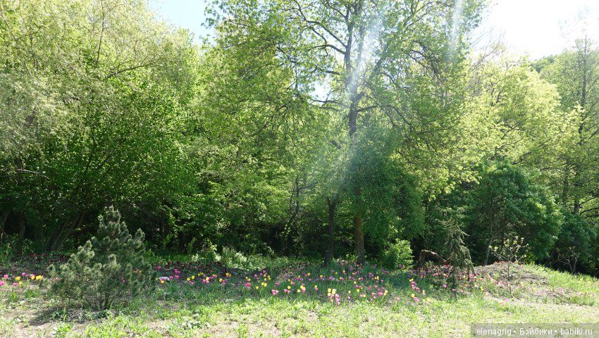 Коллекционные куклы Дианы Эффнер, Dianna Effner