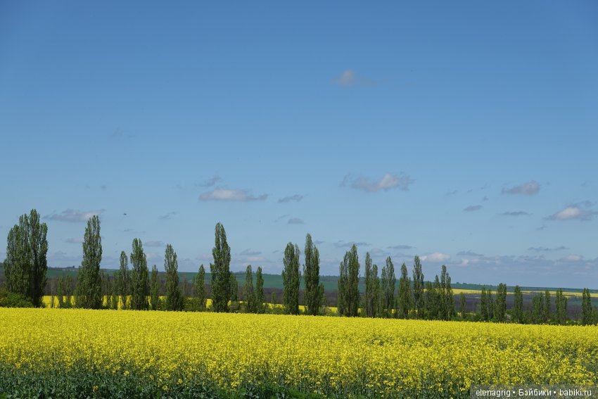 Цветочная долина — Куклы Dianna Effner (Эффнер) из винила: Little Darling (фото 4)