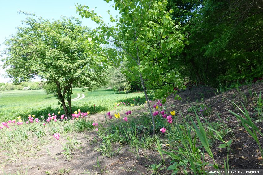 Коллекционные куклы Дианы Эффнер, Dianna Effner