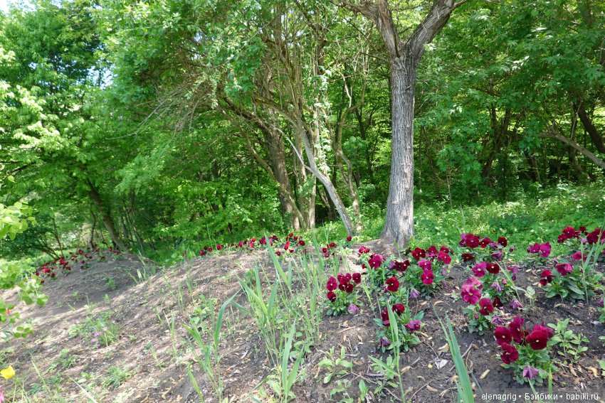 Цветочная долина — Куклы Dianna Effner (Эффнер) из винила: Little Darling (фото 2)