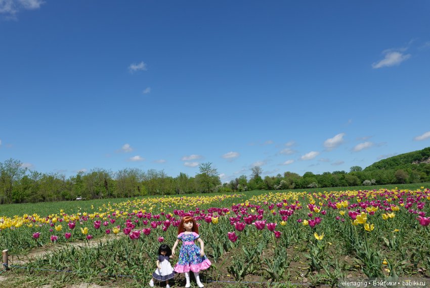 Коллекционные куклы Дианы Эффнер, Dianna Effner