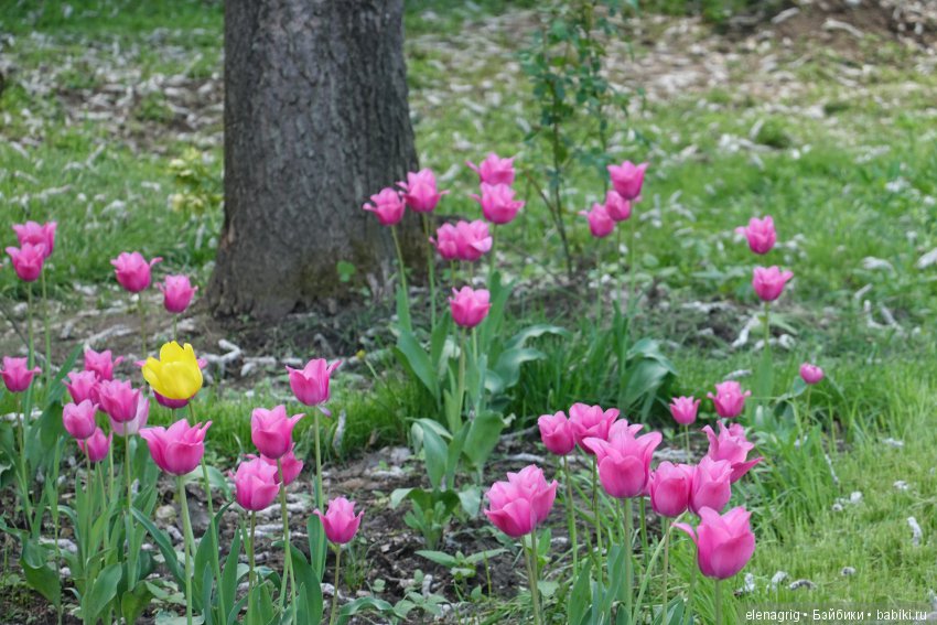 Коллекционные куклы Дианы Эффнер, Dianna Effner